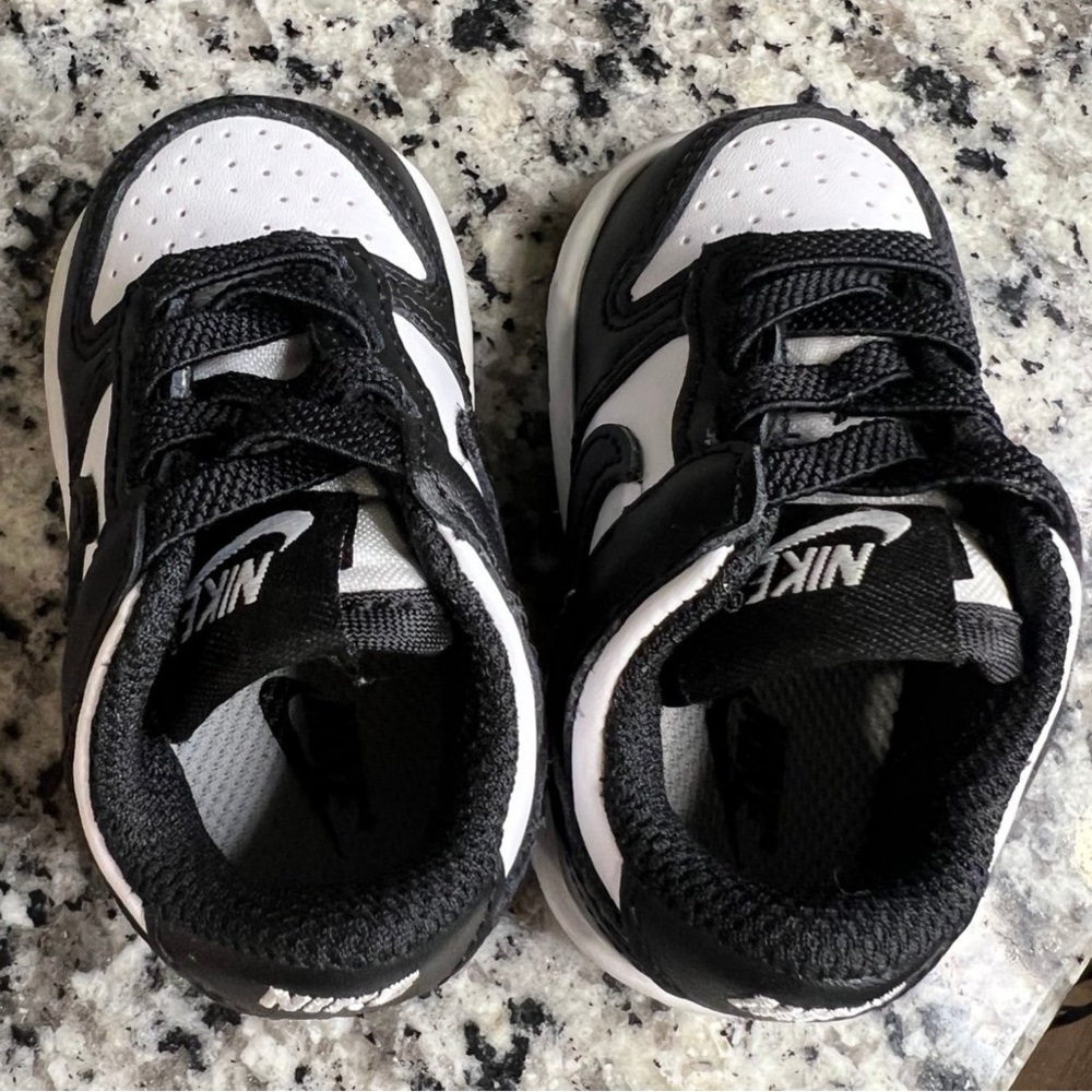 Nike panda dunks 2C shoes